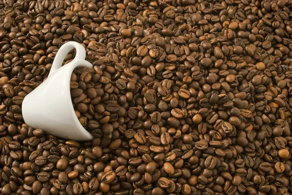 Кофейная чашка и кофейные зерна — стоковое фото