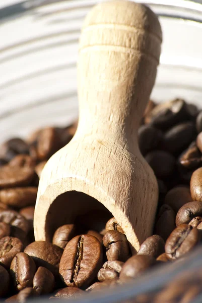 Cuillère en bois et grains de café — Photo
