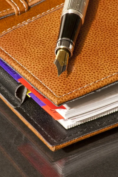 stock image Leather Agenda and fountain pen