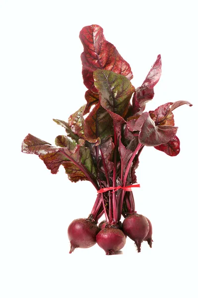 Bunch of beets — Stock Photo, Image