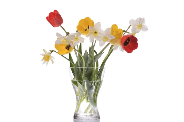 Springtime bouquet — Stock Photo, Image