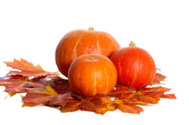 Pumpkins clipart