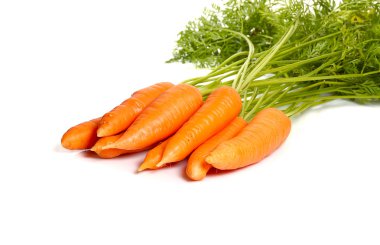 Carrot clipart