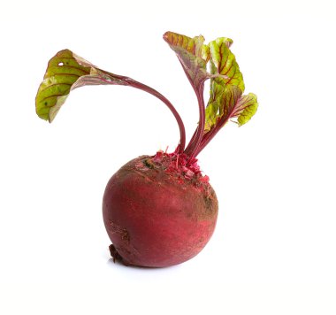 Beet clipart