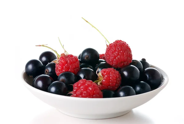 Black currant and raspberries — Stock Photo, Image