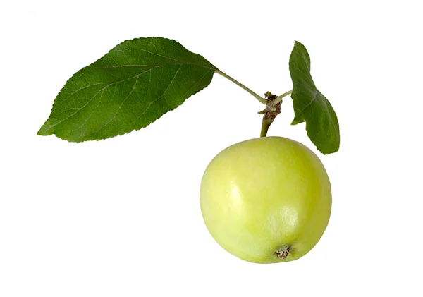 Green apple with leaves — Stock Photo, Image
