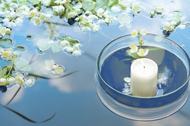 Yaz spa natürmort