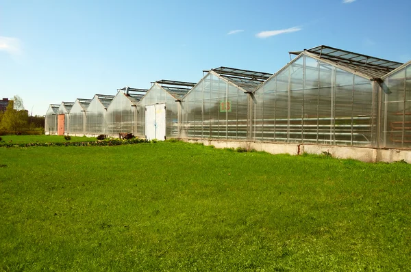 Stock image Green houses