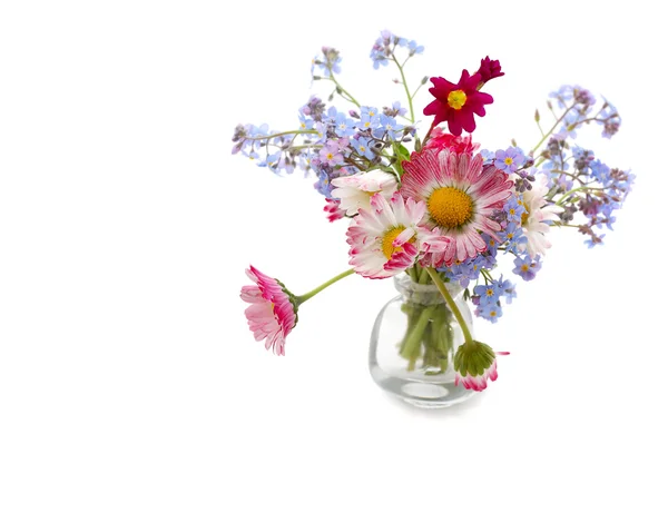 Bunch of daisies — Stock Photo, Image