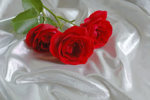Fundo de seda festivo com rosas vermelhas — Fotografia de Stock