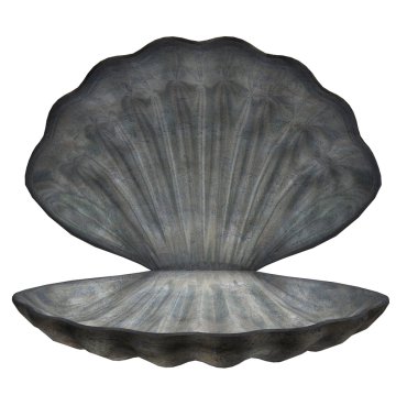 Large Sea Shell clipart