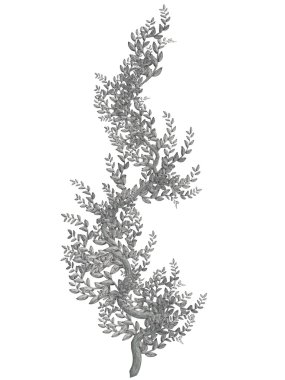 White and Grey Vine clipart