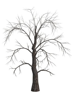 Dead Tree clipart