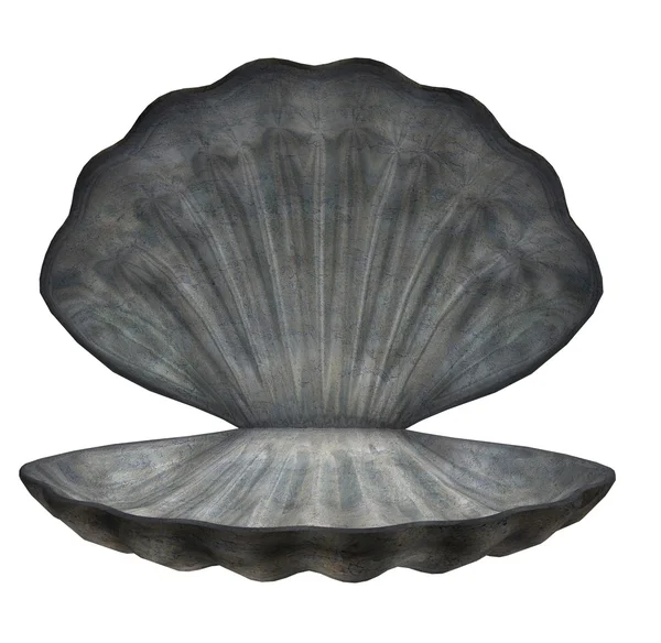 stock image Large Sea Shell