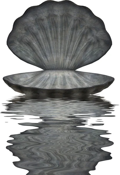 stock image Large Sea Shell In Water