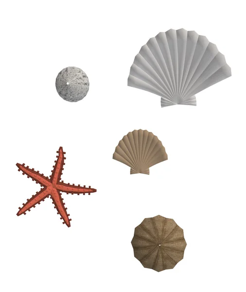 stock image Sea Shells And Star Fish