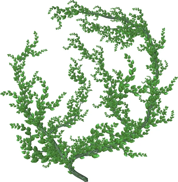 Yeşil ağaç kabuğu ile yeşil sarmaşık — Stok fotoğraf