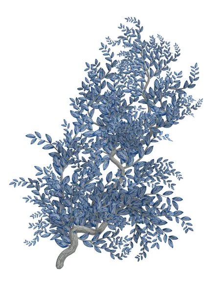 푸른 나무 껍질과 푸른 덩굴 — 스톡 사진