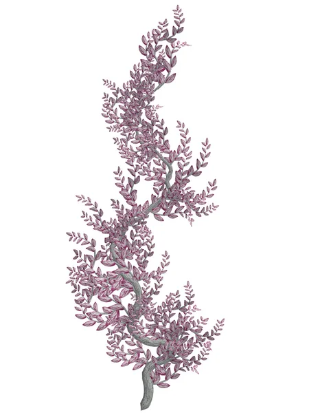 ピンク色の樹皮を持つピンクのつる — ストック写真