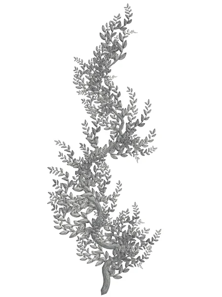 흰색과 회색 포도 나무 — 스톡 사진