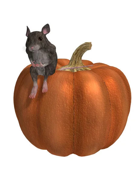 Mouse On A Pumpkin — Stock Photo, Image