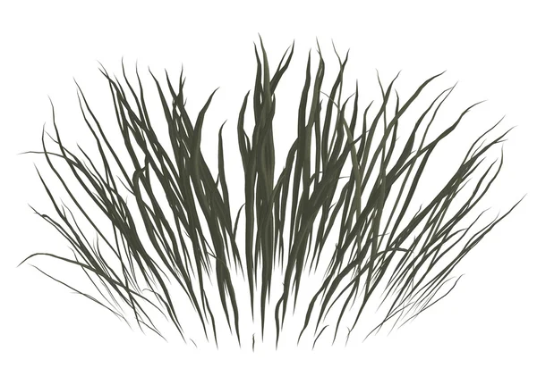 Мертвая трава — стоковое фото