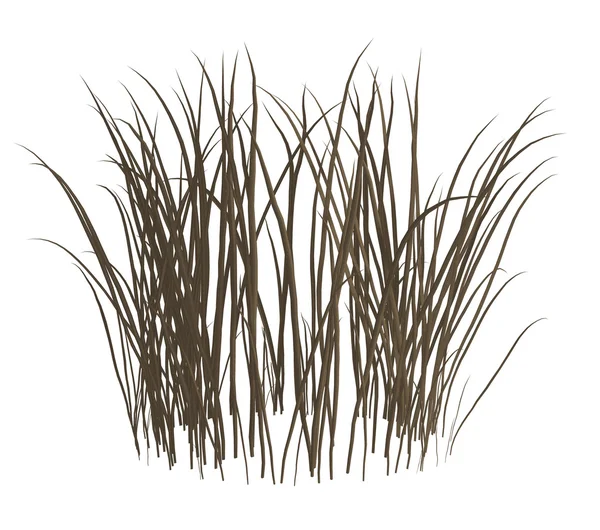 Totes Gras — Stockfoto