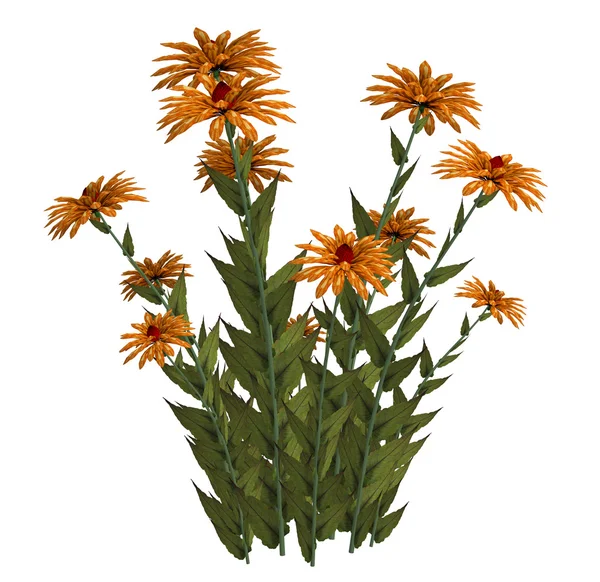 Oranje fantasy bloemen — Stockfoto