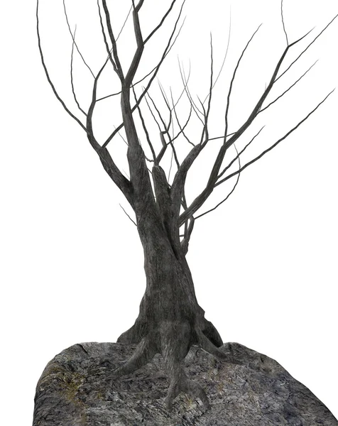 Mrtvý strom — Stock fotografie