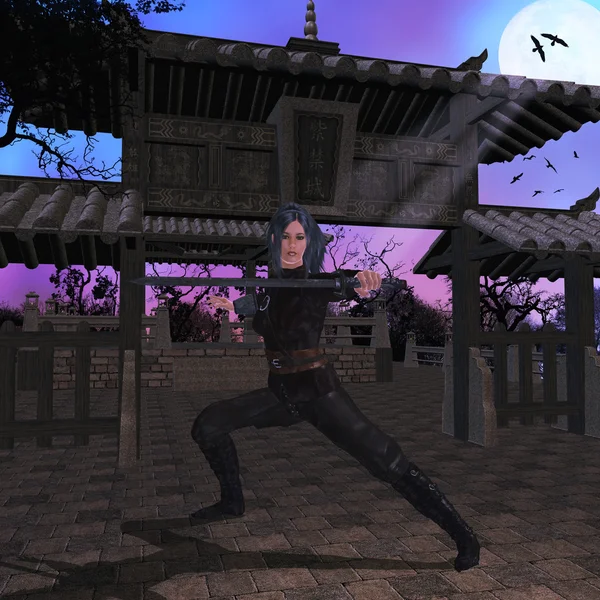 Samurai Assassino — Fotografia de Stock