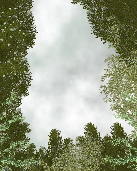 Tło zewnątrz lasu — Zdjęcie stockowe