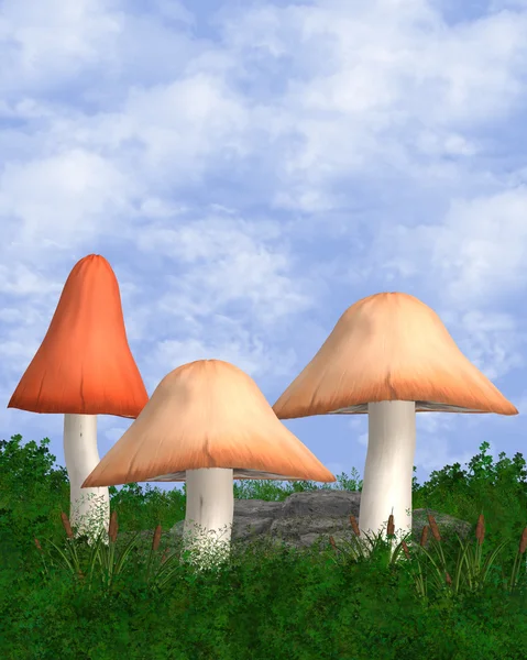 Внешний фон с тремя грибами — стоковое фото