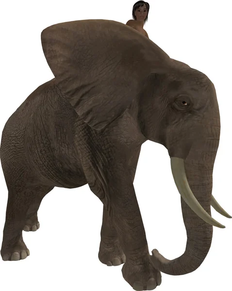 一只大象的男孩 — 图库照片