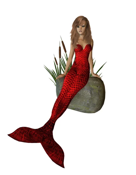 Kayanın üzerinde oturan kırmızı deniz kızı — Stok fotoğraf