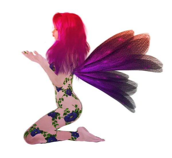 虹の花の妖精 — ストック写真