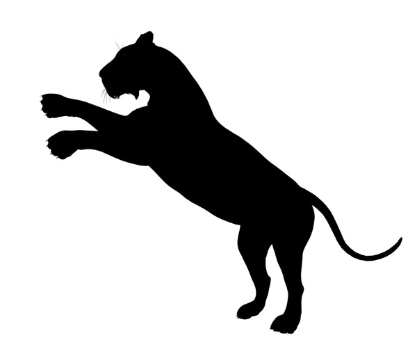 Leeuw illustratie silhouet — Stockfoto