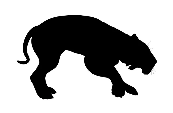 Silhueta de Ilustração de Leão — Fotografia de Stock