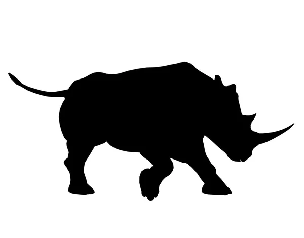 Rinoceronte Ilustración Silueta — Foto de Stock
