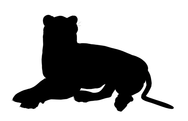 Лев ілюстрація силует — стокове фото