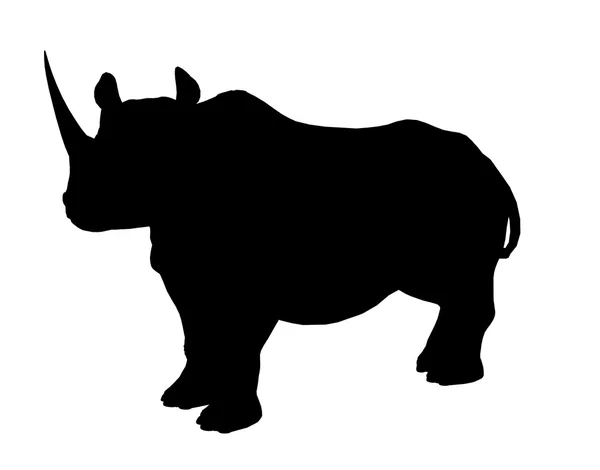 Illustration de rhinocéros Silhouette — Photo