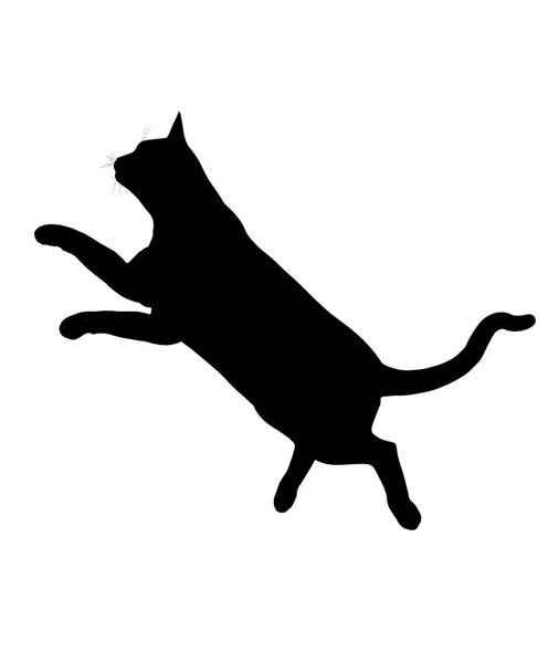 Silhueta de ilustração de gato — Fotografia de Stock