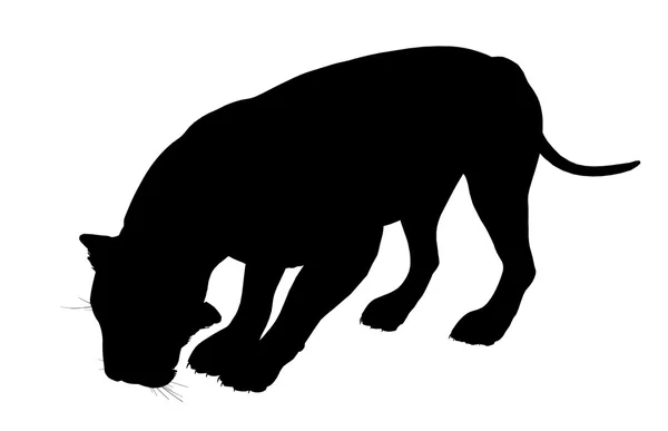 Silhueta de Ilustração de Leão — Fotografia de Stock