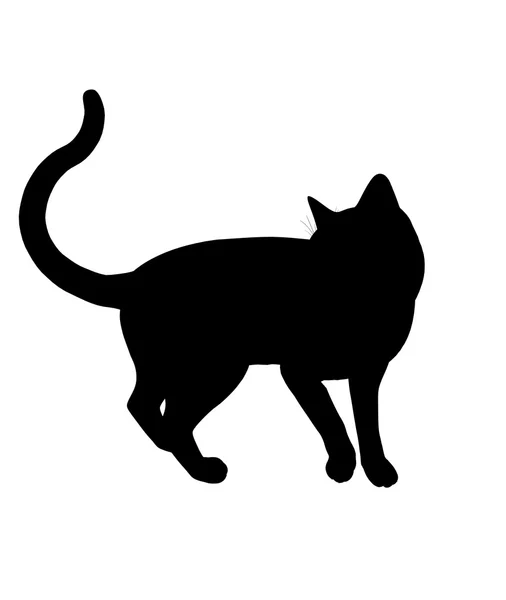 Silueta de ilustración de gato —  Fotos de Stock