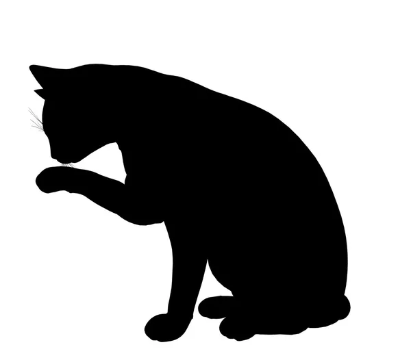 Kedi illüstrasyon siluet — Stok fotoğraf