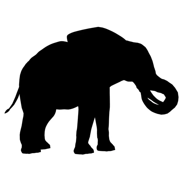 코끼리 그림 실루엣 — 스톡 사진