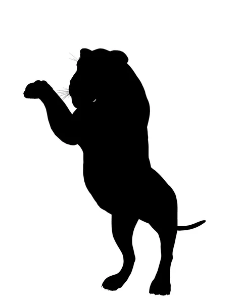 Лев ілюстрація силует — стокове фото