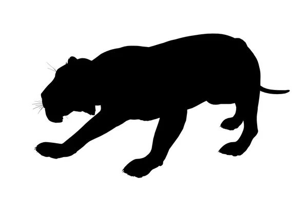 Sylwetka ilustracja lew — Zdjęcie stockowe