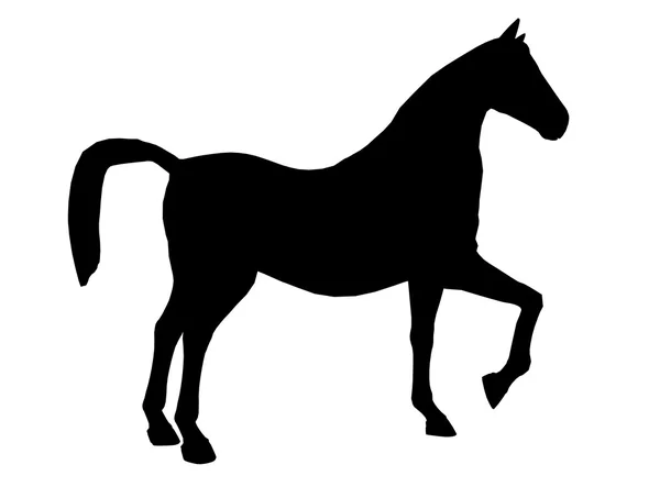 Illustration de cheval Silhouette — Photo