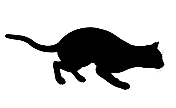 Katten illustration siluett — Stockfoto