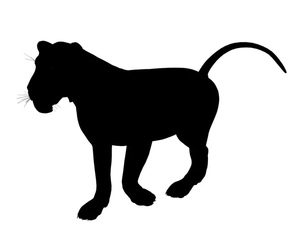 Силуэт иллюстрации льва — стоковое фото